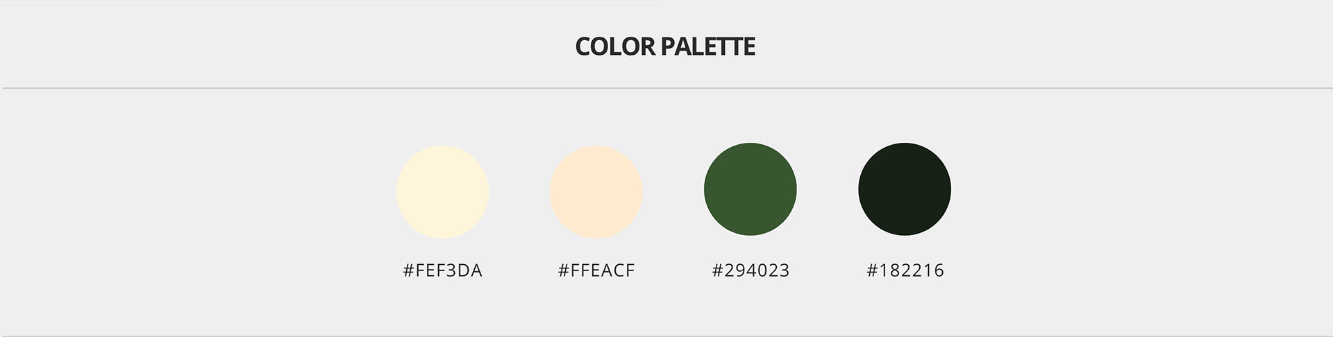 Skyverrra Ventures colour palette
